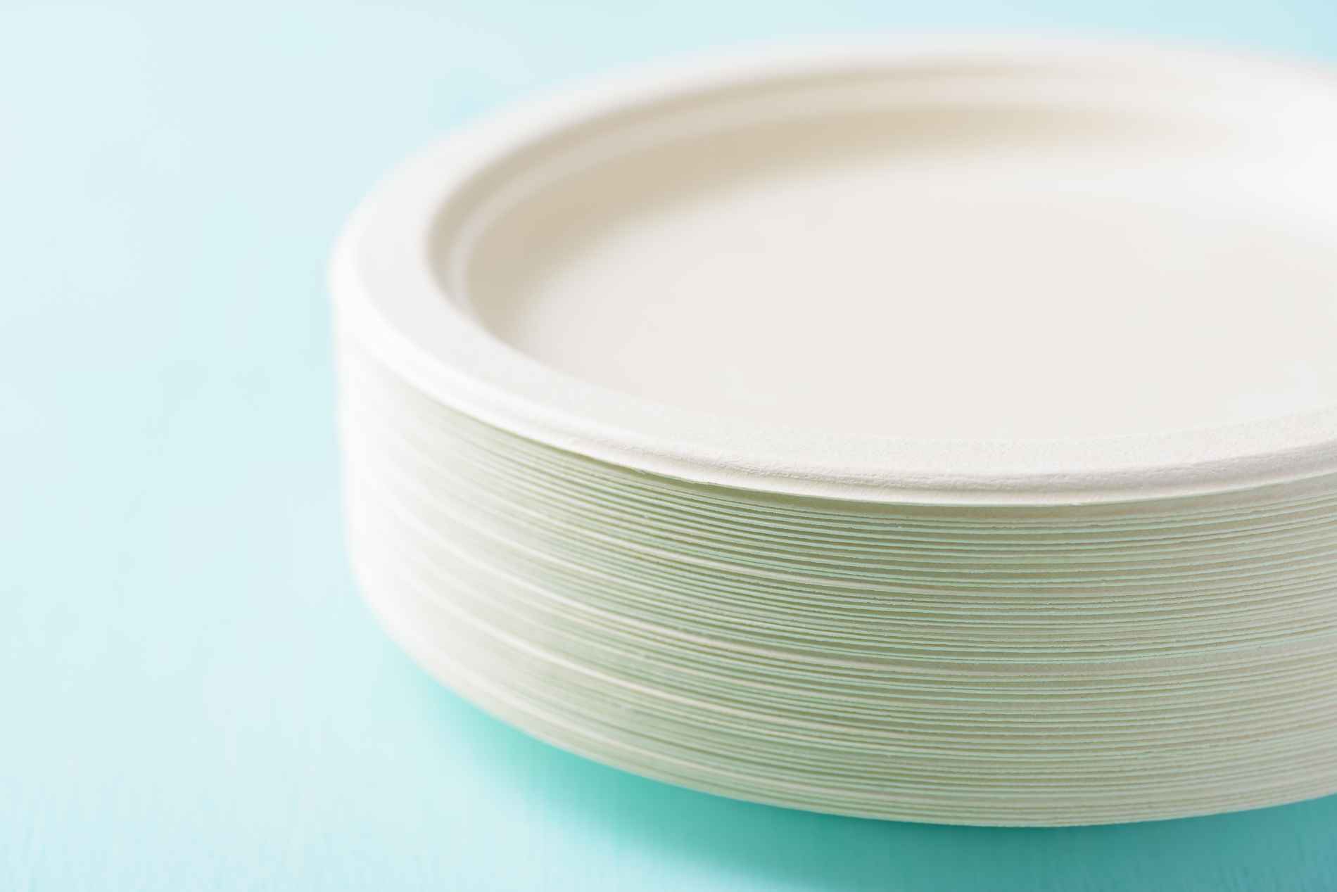 6 biodegradable plates b22011 b22016