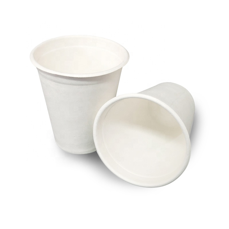 8 oz biodegradable cups medium with lids