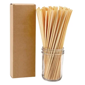 10" bio. straws biodegradable