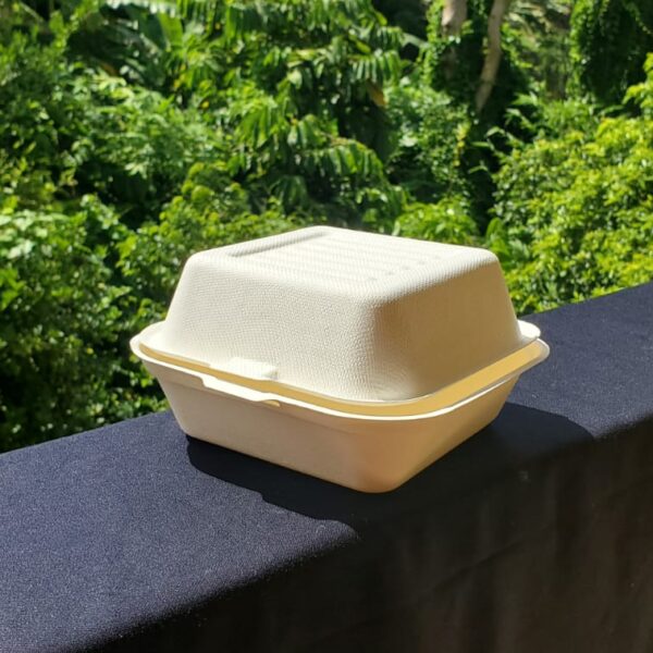 6"x6" clamshell containers biodegradable small (500 pcs/ctn)