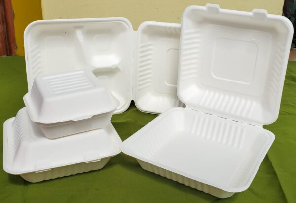 6"x6" clamshell containers biodegradable small (500 pcs/ctn)