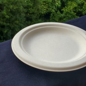 6" plates biodegradable small (1000 pcs/ctn)