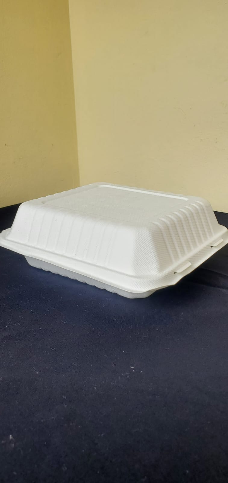 8"x8" clamshell containers, medium biodegradable (200 pcs/ctn)