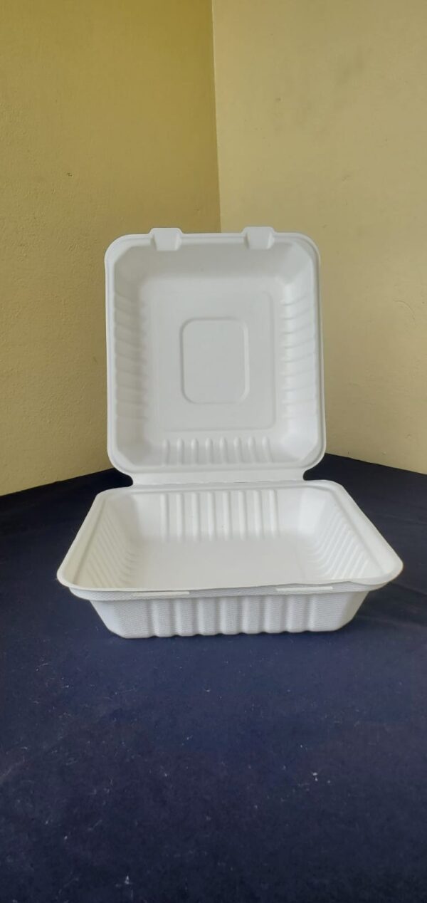 8"x8" clamshell containers, medium biodegradable (200 pcs/ctn)