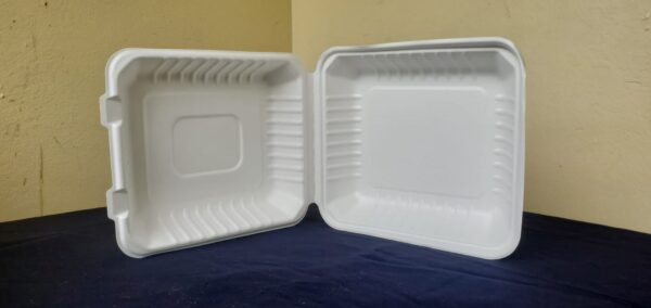 8"x8" clamshell containers, medium biodegradable (200 pcs/ctn)