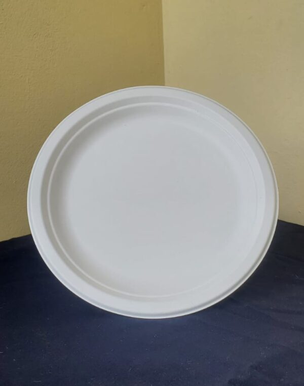 8" plates biodegradable medium (500 pcs/ctn)