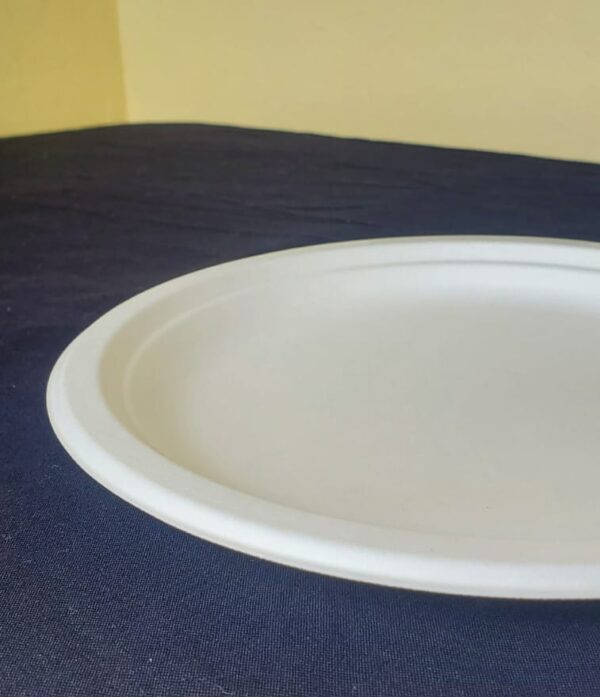 8" plates biodegradable medium (500 pcs/ctn)