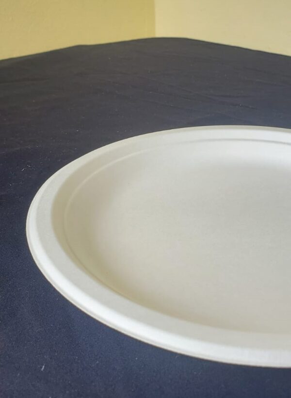 9" plates biodegradable large (500 pcs/ctn)