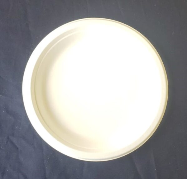 9" plates biodegradable large (500 pcs/ctn)