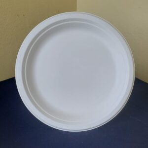 9" plates biodegradable large (500 pcs/ctn)