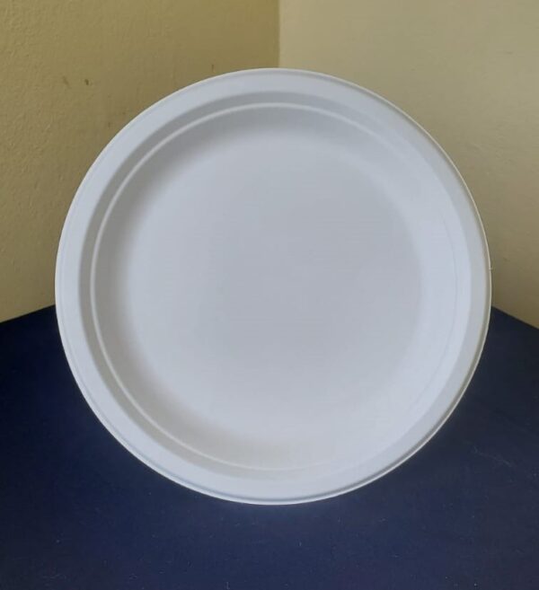 9" plates biodegradable large (500 pcs/ctn)