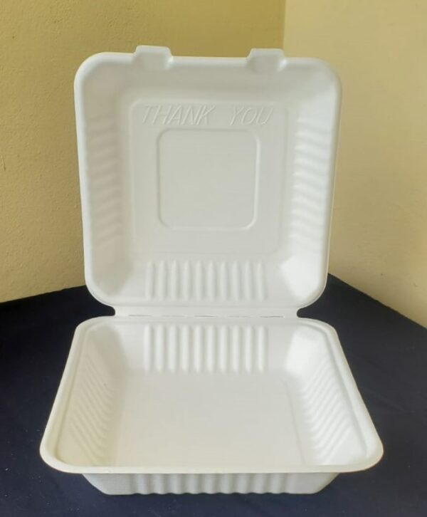 9"x9" clamshell containers biodegradable large (200 pcs/ctn)