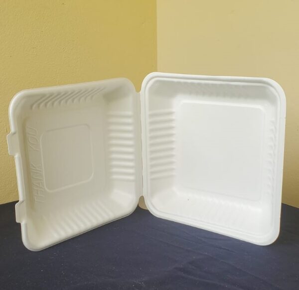 9"x9" clamshell containers biodegradable large (200 pcs/ctn)