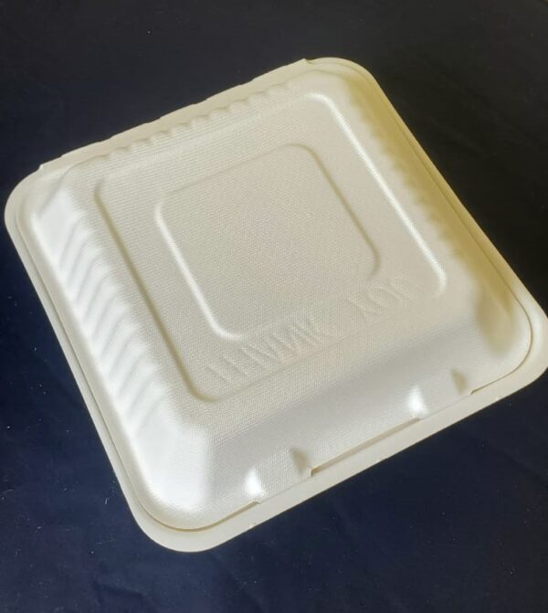 9"x9" clamshell containers biodegradable large (200 pcs/ctn)