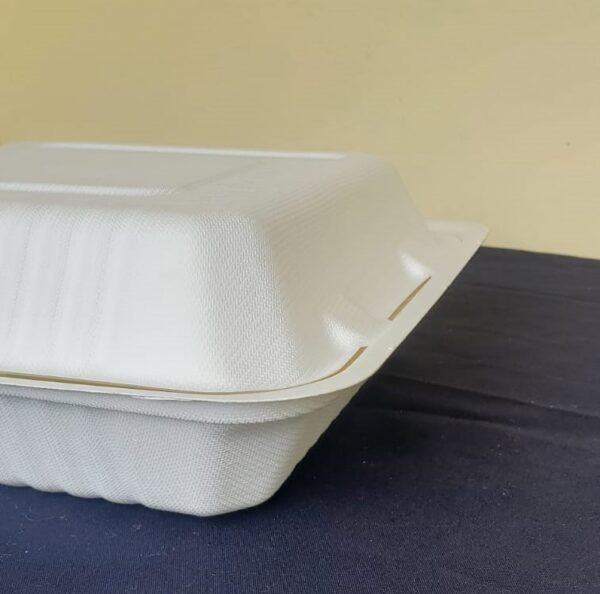 9"x9" clamshell containers biodegradable large (200 pcs/ctn)