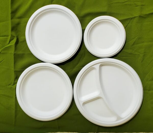 9" biodegradable plates 3 compartments (500 pcs/ctn)