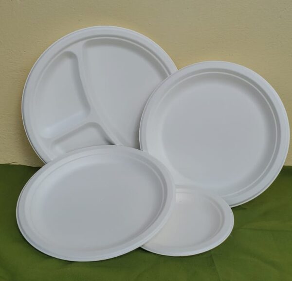 9" biodegradable plates 3 compartments (500 pcs/ctn)