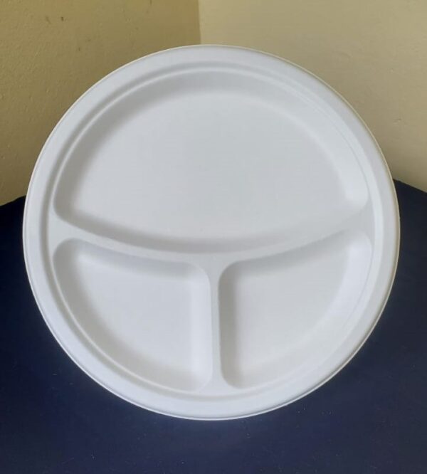 9" biodegradable plates 3 compartments (500 pcs/ctn)