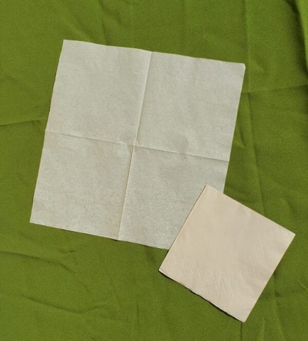 bamboo pulp napkins