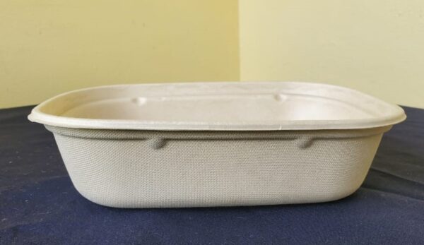 1100ml ct food container (300 pcs/ctn)